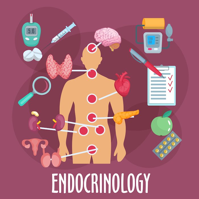 Endocrinologia